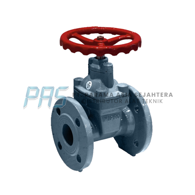 GATE VALVE FLANGE (G3800) DN 50 2" PN16 SAILING