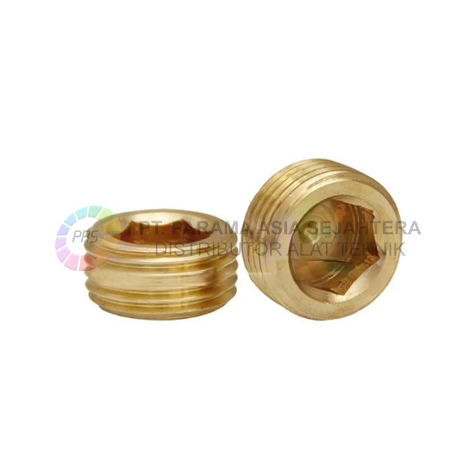 WN5123 INNER HEXAGON PLUG  1/2"  WIPRO