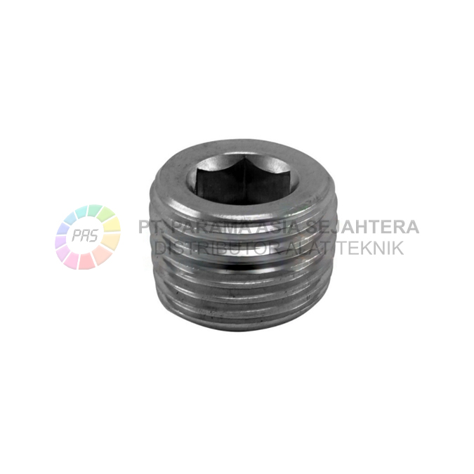 WN7123 INNER HEXAGON PLUG  1/2"  WIPRO