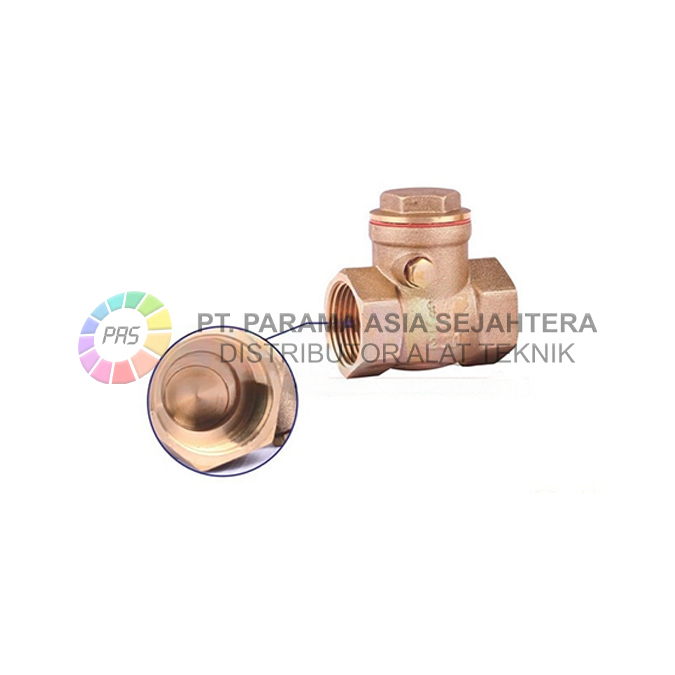 CHECK VALVE C6014 1" SAILING
